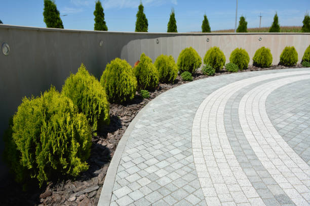 Best Driveway Paver Repair  in Punaluu, HI